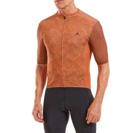 ICON PLUS MENS SHORT SLEEVE JERSEY 2023