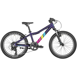 Bergamonster 20 purple