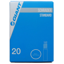 20X1.75-2.1 SV 35MM Bulk Box of 50