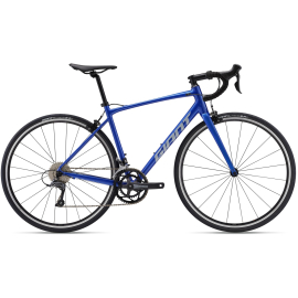 Giant Contend 1 2025 - Mountain Mania Cycles
