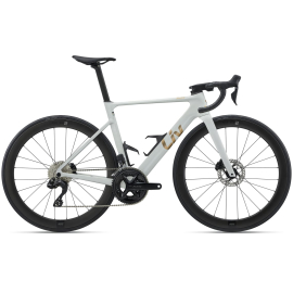 Envi Advanced 1