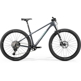 Big Nine XT