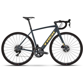 2025 Domane+ AL 5
