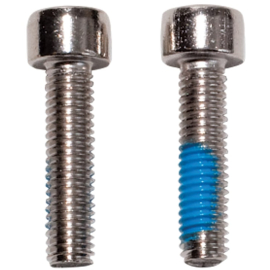 Replacement Bolts (pair)